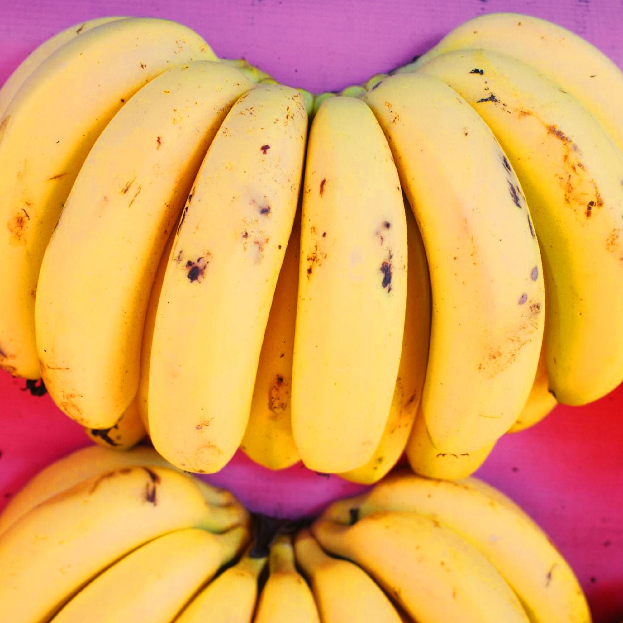 Penca de banana
